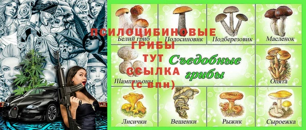 не бодяженный Арсеньев