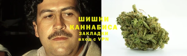 не бодяженный Арсеньев