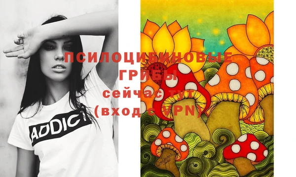 мдпв Армянск