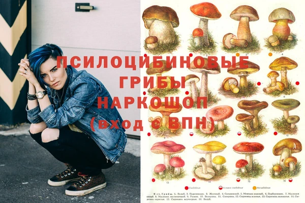 мдпв Армянск