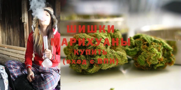 не бодяженный Арсеньев