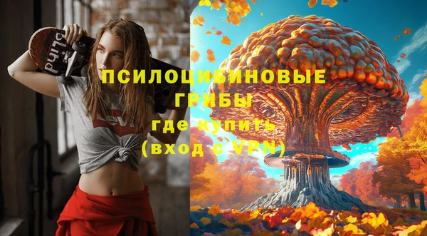 не бодяженный Арсеньев